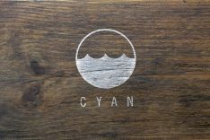 CYAN Projects | Logo & Corporate Design | Surf-Art-Exhibition