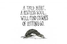 SPRING WILL COME | letting go