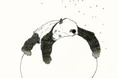 SPRING WILL COME | Panda