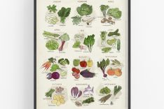 GREENPEACE | Gemüse der Saison